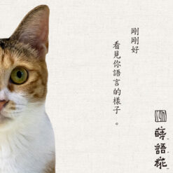 Alternative view of 動物溝通