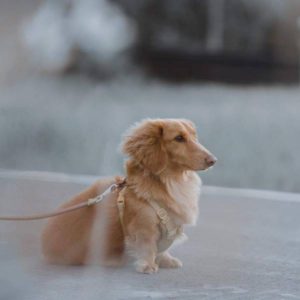 下一站一定是幸福•逼多