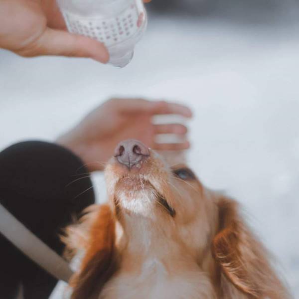 下一站一定是幸福•逼多