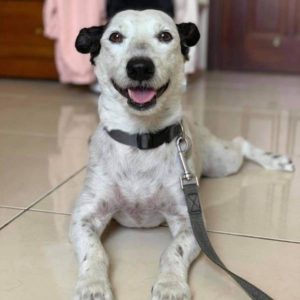 壞不起來•大雄