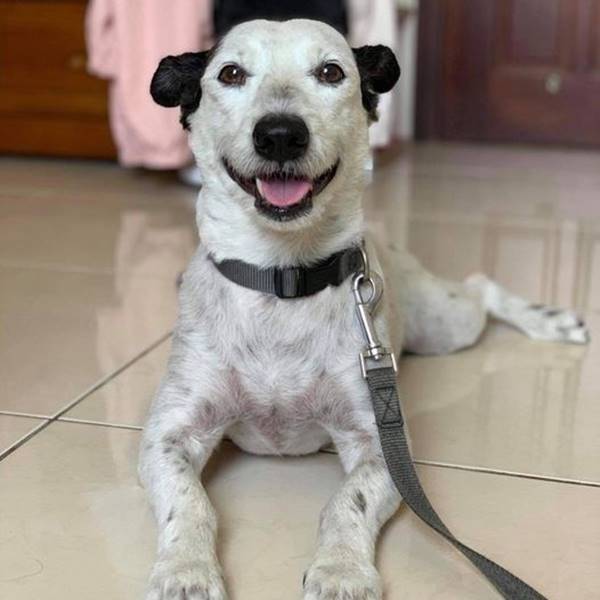 壞不起來•大雄