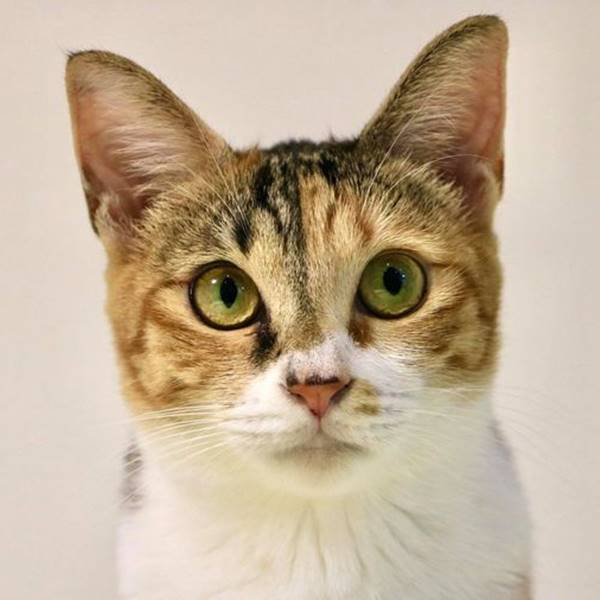 我才不是來等門的呢!