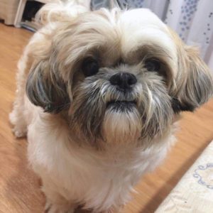 貴婦級的SPA•妞妞