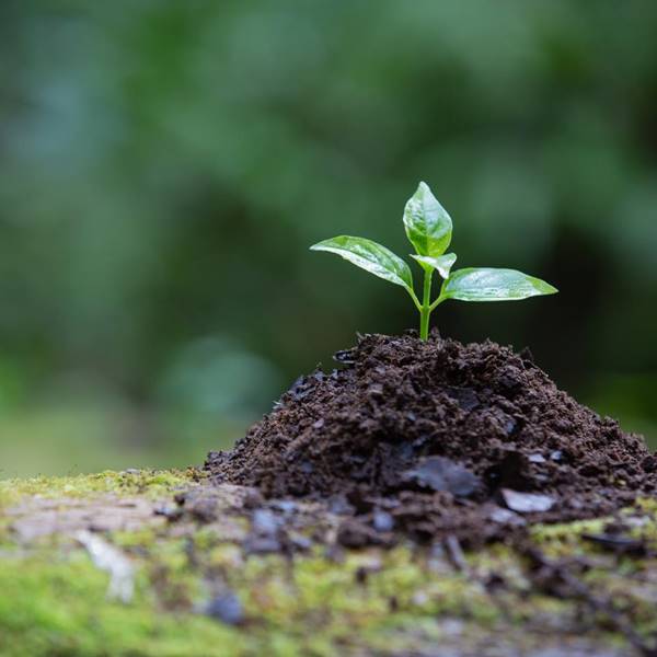 期待下一次的悸動