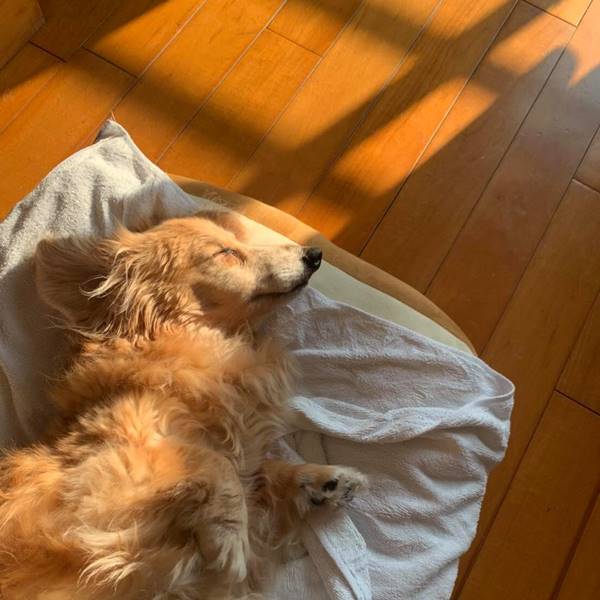 就像珍藏的寶藏一樣•Bingo