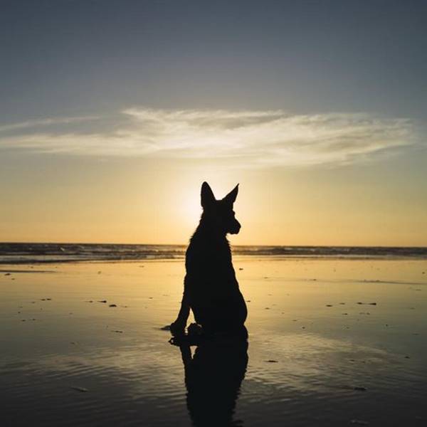 我會在一旁守護著你