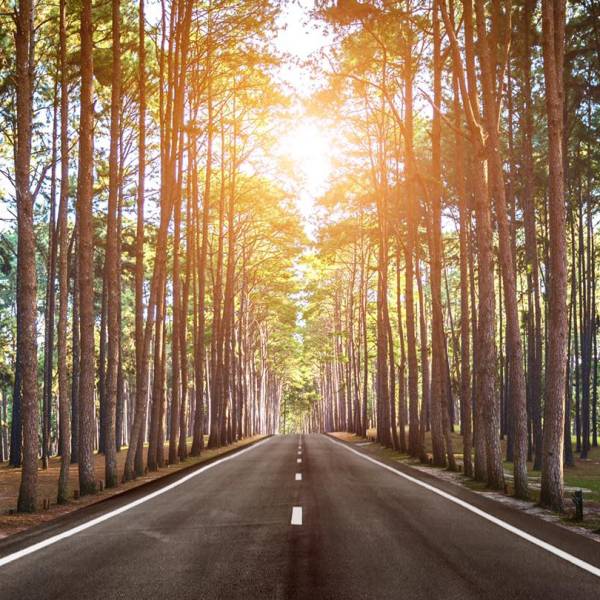 療癒分享-不要懷疑自己一路以來的累積