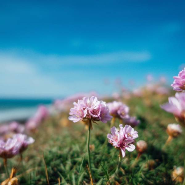 「療癒」跟我想的一點都不一樣