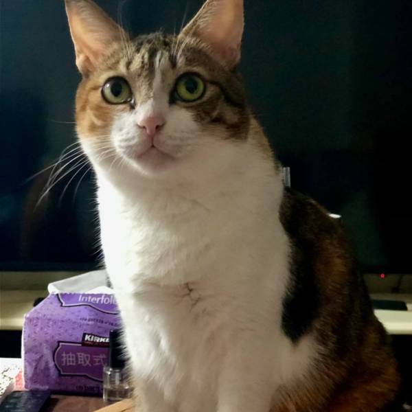 媽媽是不是不愛虎妞了?