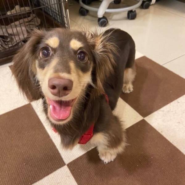 家有公主•Enema