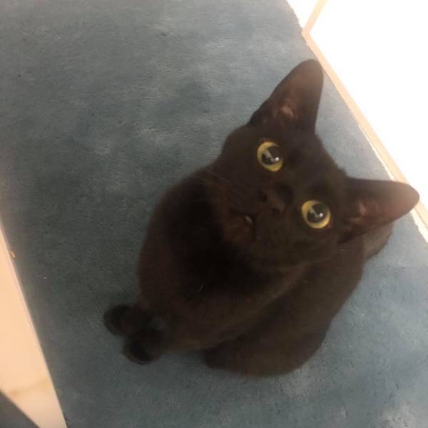 Baby真的有這麼恐怖?•天寶