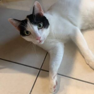 我的爸爸會魔法哦！•香香