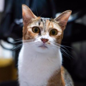 看起來就是怪人一個