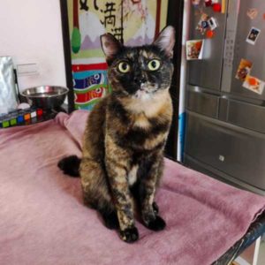 吐吐不是很正常的事嘛～•Ash