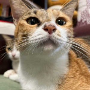 爸爸是不是好痛好痛？！