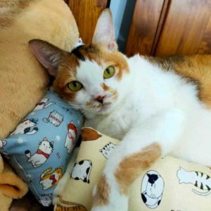 有沒有眼緣很重要•小乖