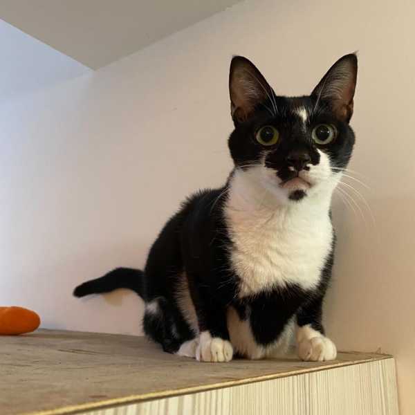 我真的辦得到嗎？•Nono