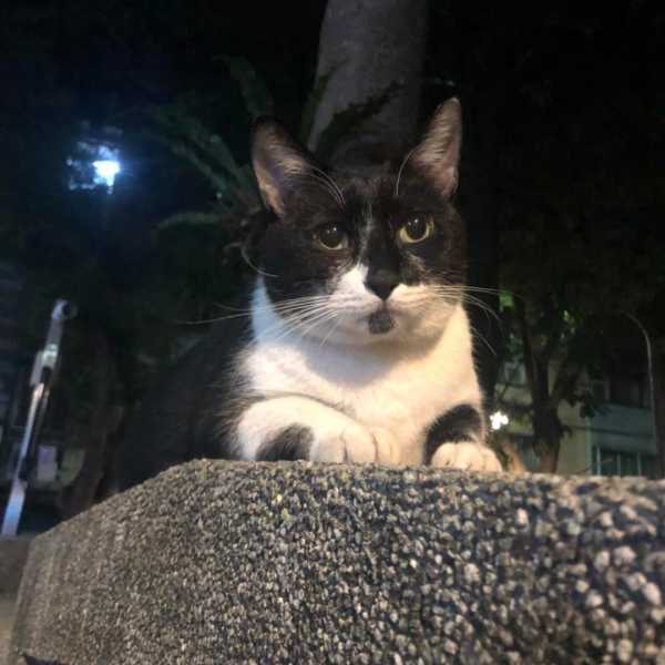 我不缺吃的哦！•小八