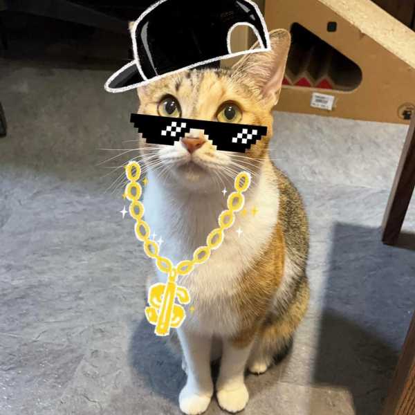 認識礦礦好捧油