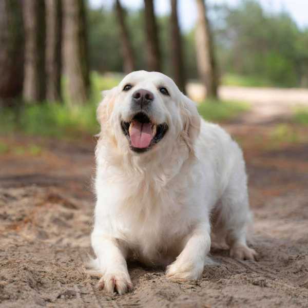 我已經回到家了哦！