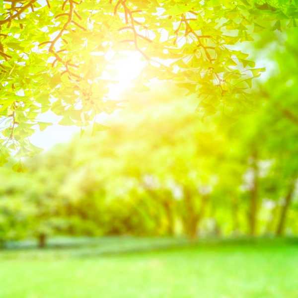 我是孩子的媽媽我驕傲