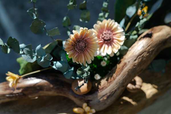 蒔語椛花藝設計•漂流