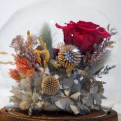 蒔語椛花藝設計•霓幻