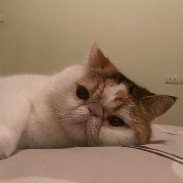 請賜給我帥氣的歐巴！•富貴