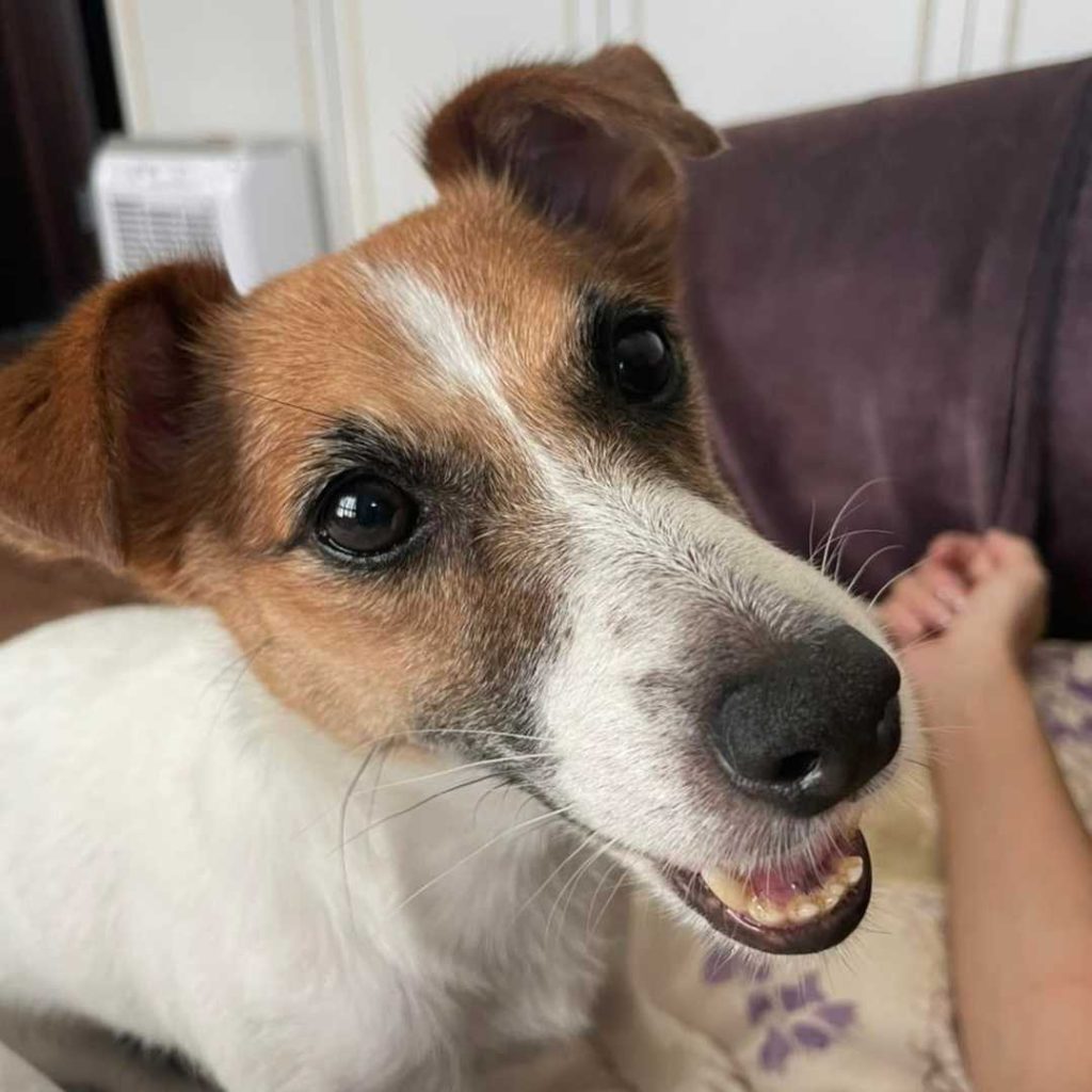 嗯?!你們不是會來找我嗎?!•珍妮