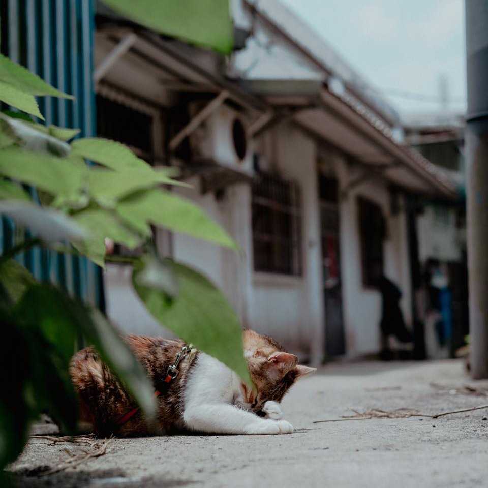 「愛」是世界上最強大的能量