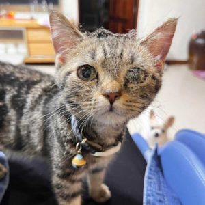 有時候我就想要自己一個～•麥麥