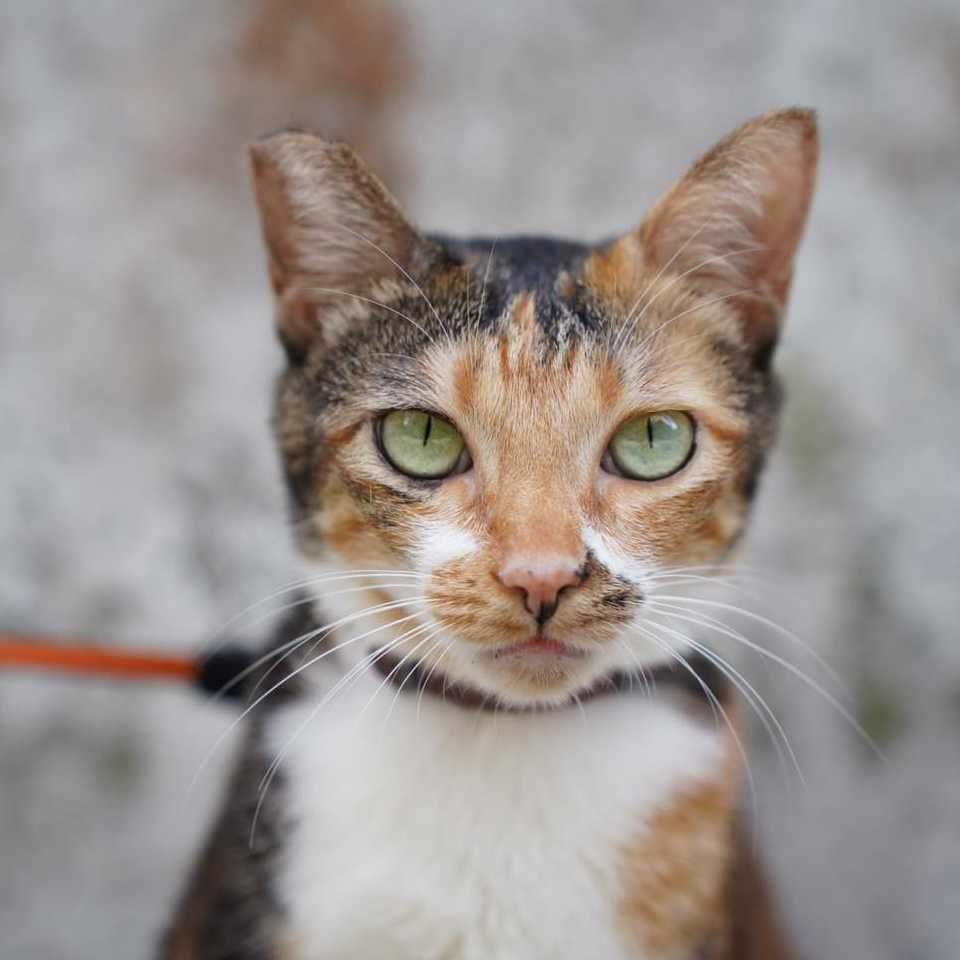 那爸爸也伸手啊~