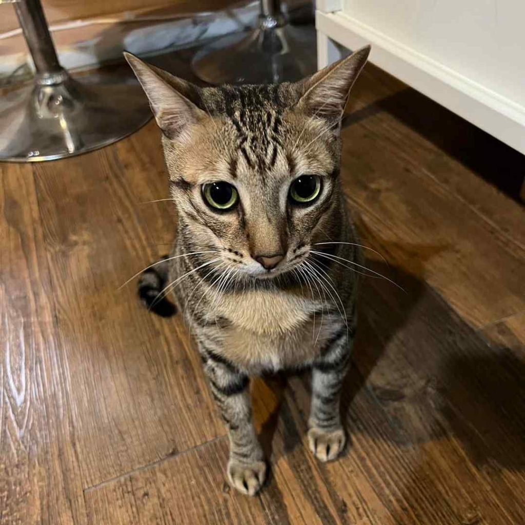 好哇～我很喜歡妳喔！•Kirin