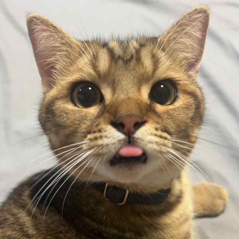 我360°無死角都很好看喔~•皮皮