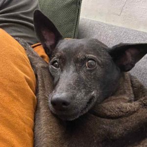 總有一天我們會在那裡相遇的～