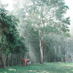 大家能夠明確的感受到自己的直覺嗎？