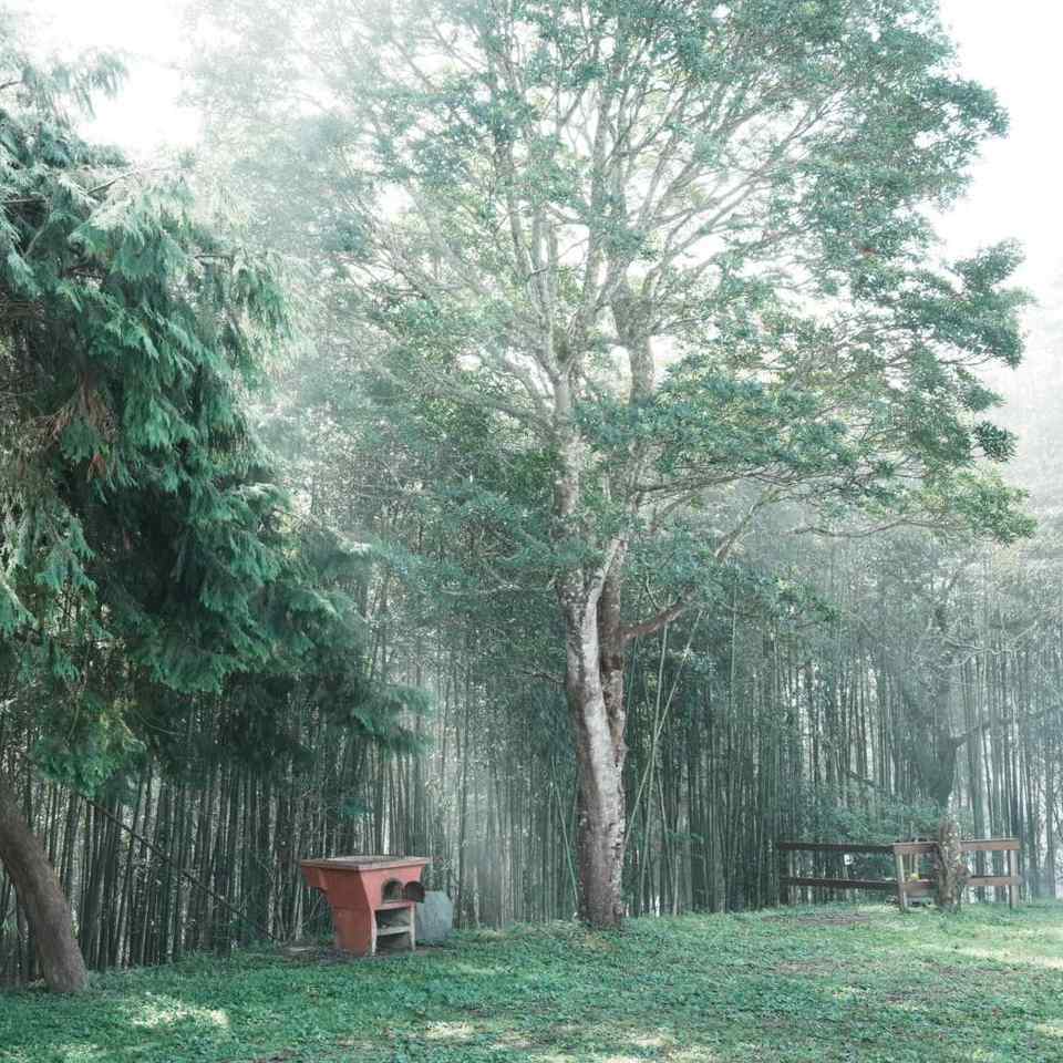 大家能夠明確的感受到自己的直覺嗎？