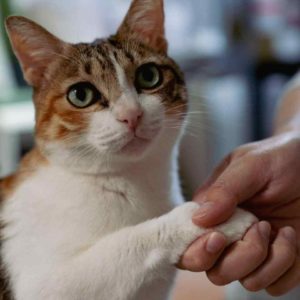 欸～妳不要吵好嗎！爸爸媽媽在工作耶～