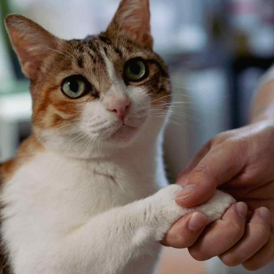 欸~妳不要吵好嗎!爸爸媽媽在工作耶~