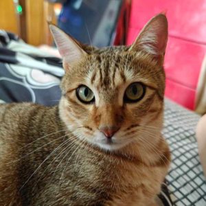 我只會跟媽媽這樣做，因為我們很熟～•土豆