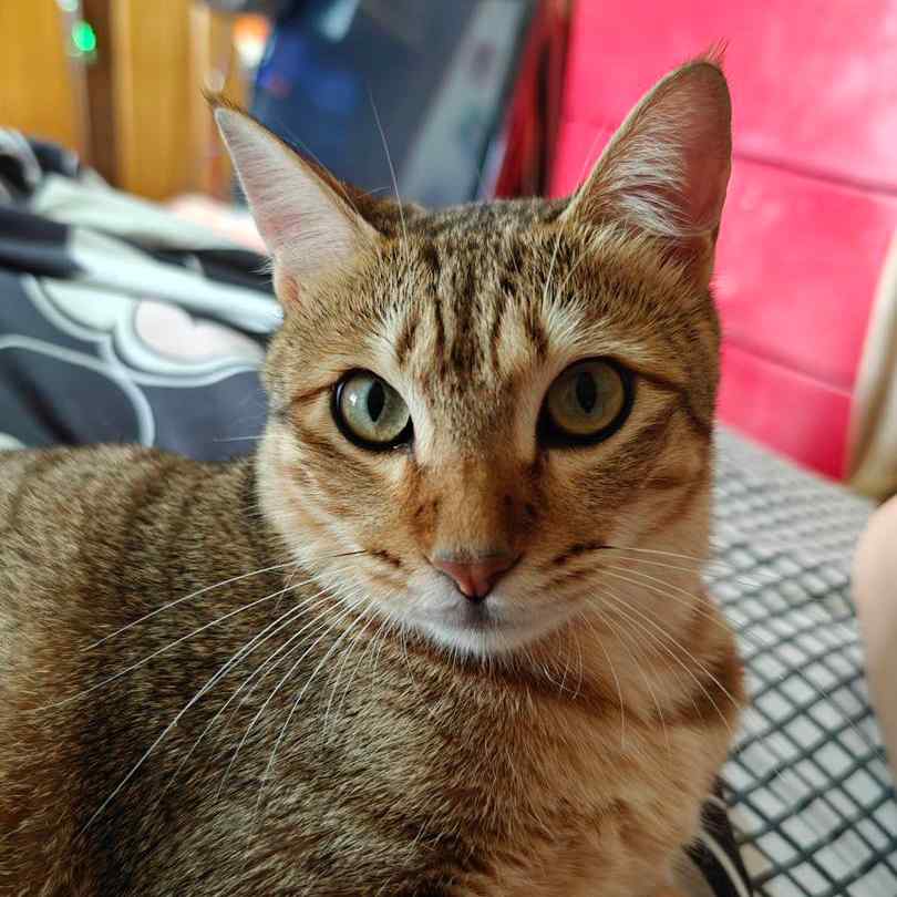 我只會跟媽媽這樣做，因為我們很熟～•土豆