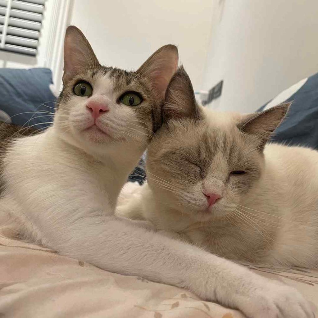 不要不要不要～•錢錢