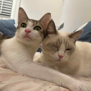 不要不要不要～•錢錢