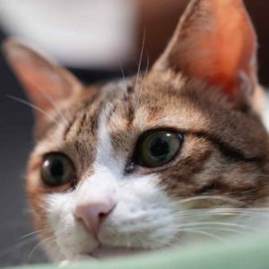 哼！她才不乖咧～