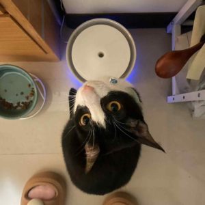 有有有～我有喝！•樂樂