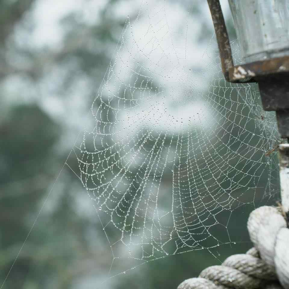 如果大家都能說清楚、講明白該有多好？