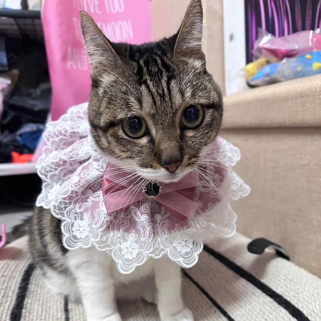 我知道粉紅色呀~•妮妮