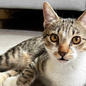 把拔一直跟我說他比較喜歡哥哥～•捏捏