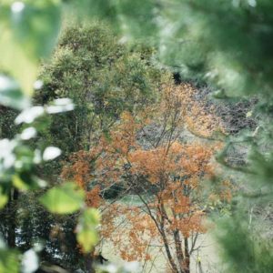 學習是為了讓你們真實的去感受