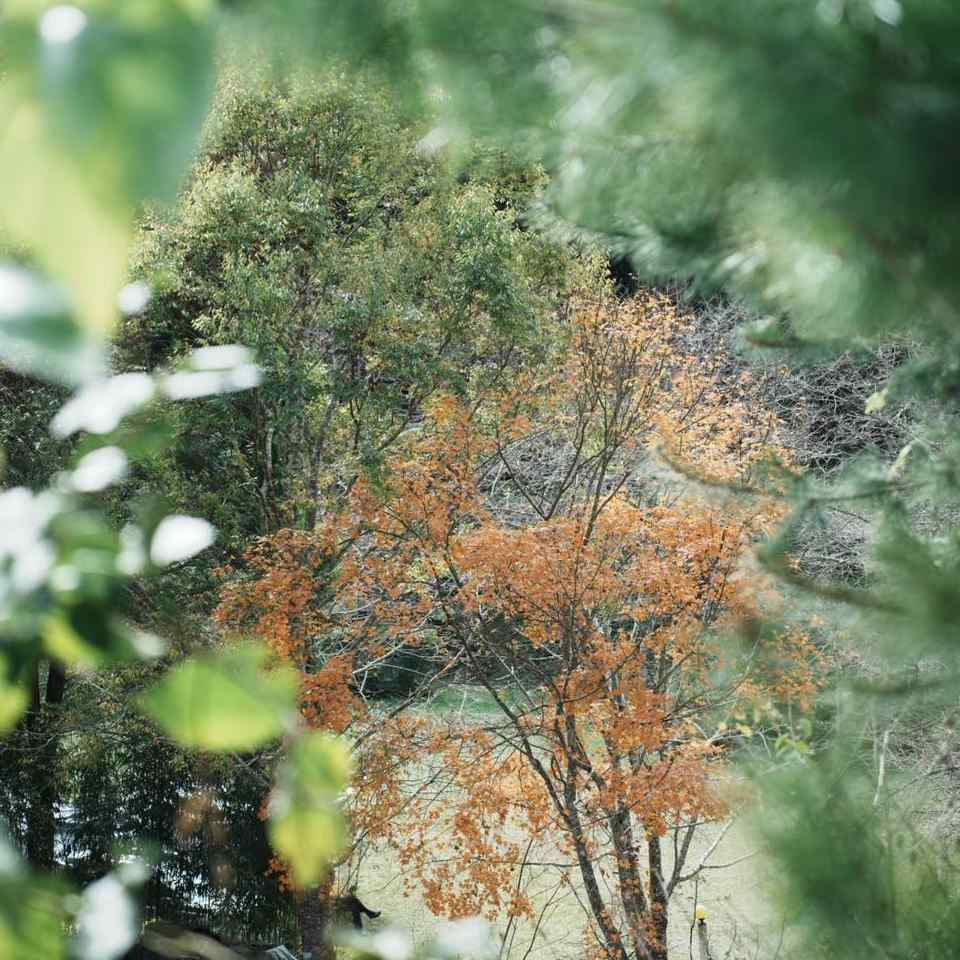 學習是為了讓你們真實的去感受